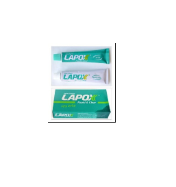 Manufacturers Exporters and Wholesale Suppliers of Lapox Rapid and Clear Bengaluru Karnataka